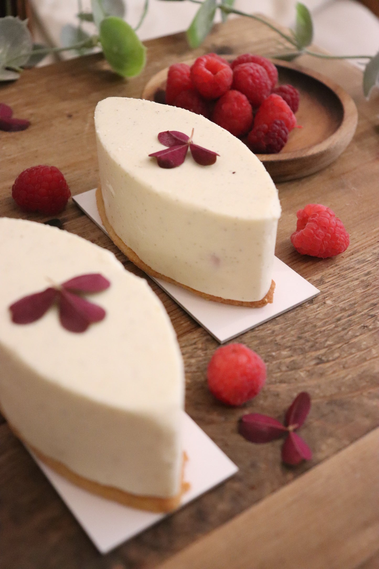 Plume cheesecake framboise