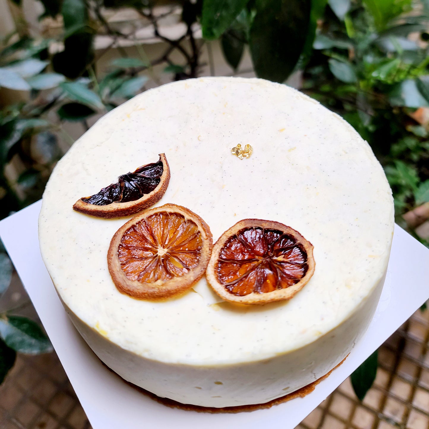 Cheesecake citron-bergamote