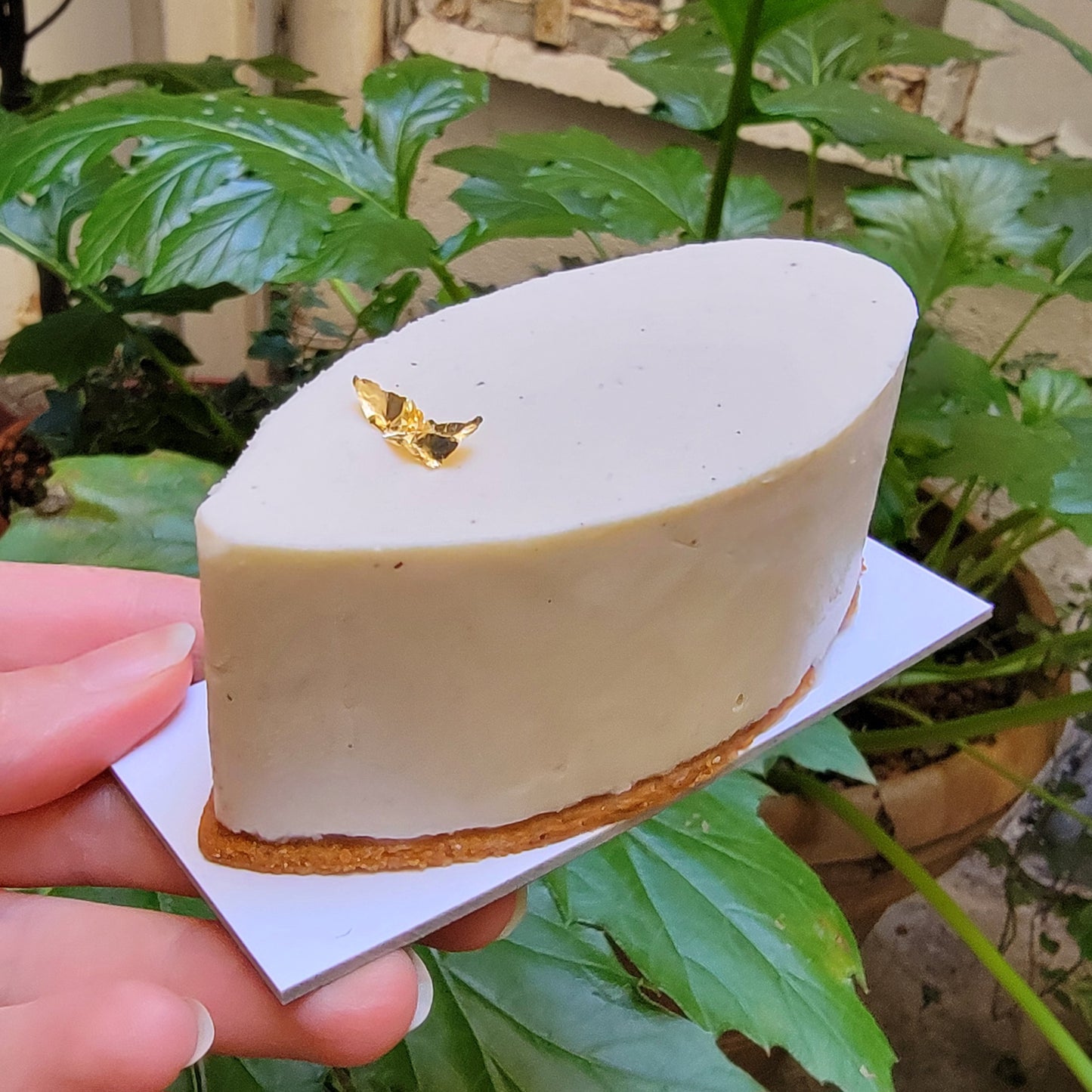 Plume cheesecake fraise-rhubarbe