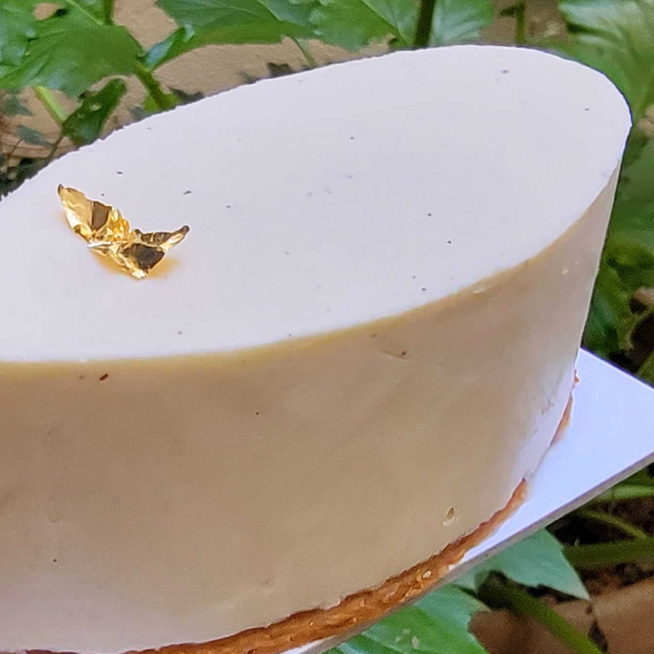 Cheesecake fraise-rhubarbe